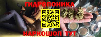 СК Краснодар