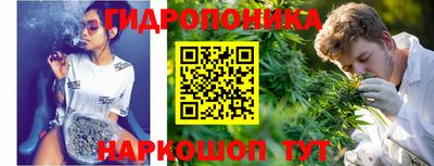 СК Краснодар