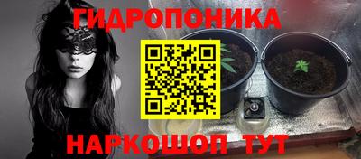 СК Краснодар