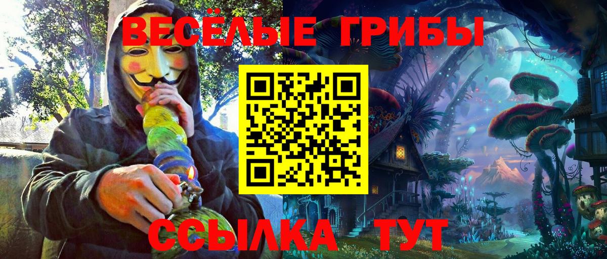 Галлюциногенные грибы GOLDEN TEACHER Дзержинский