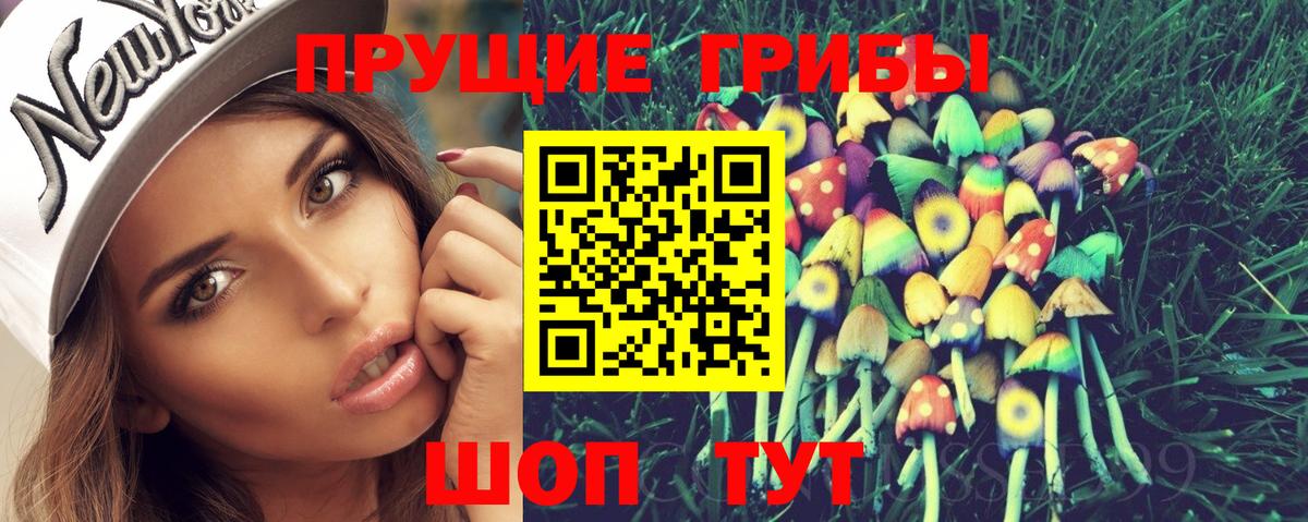 Дзержинский  Псилоцибиновые грибы Psilocybine cubensis  Вход с VPN 